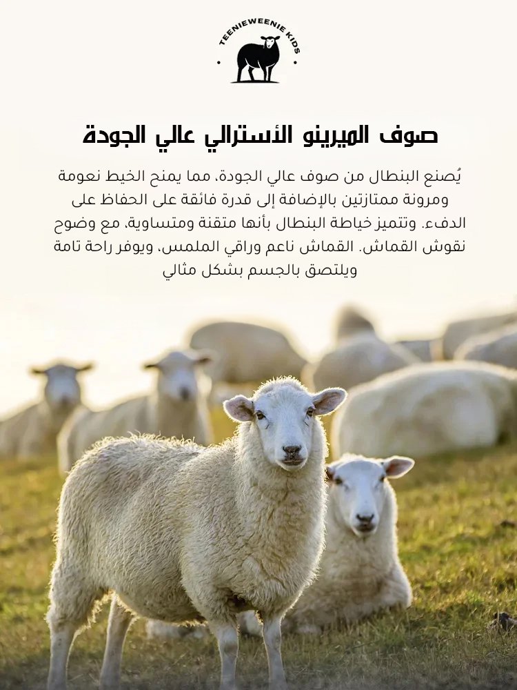 CL2481 | سروال كاجوال رياضي رجالي بقصة مستقيمة وواسعة -v4