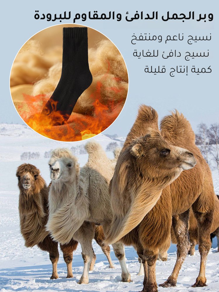UW3035 | جوارب دافئة من وبر الجمل ببطانة وبرية ممشطة -v4 UW3035 | جوارب دافئة من وبر الجمل ببطانة وبرية ممشطة -v4