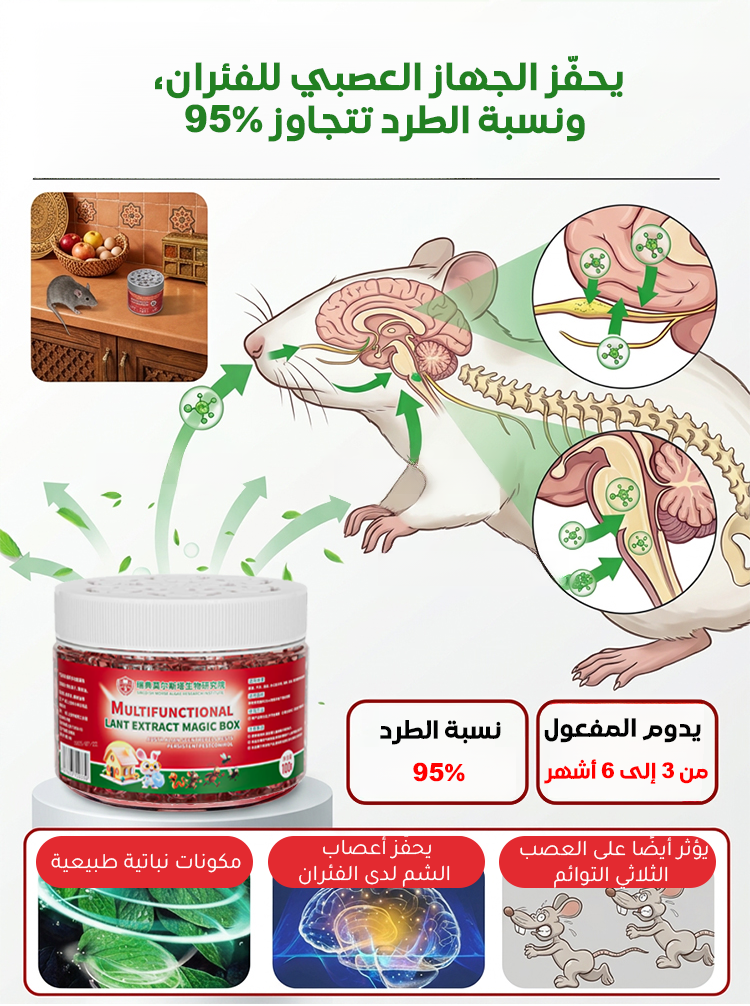 BE599LS | صندوق سحري لطرد الفئران [طبيعي، آمن وغير سام] -v4