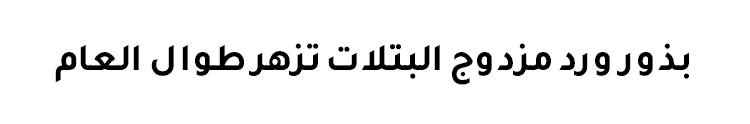 1786700972138095.png