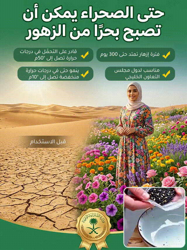 HM4219C | بذور ورد مزدوج البتلات تزهر طوال العام -v4